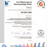 ISO 9001_2008_Enz_Pflästerungen